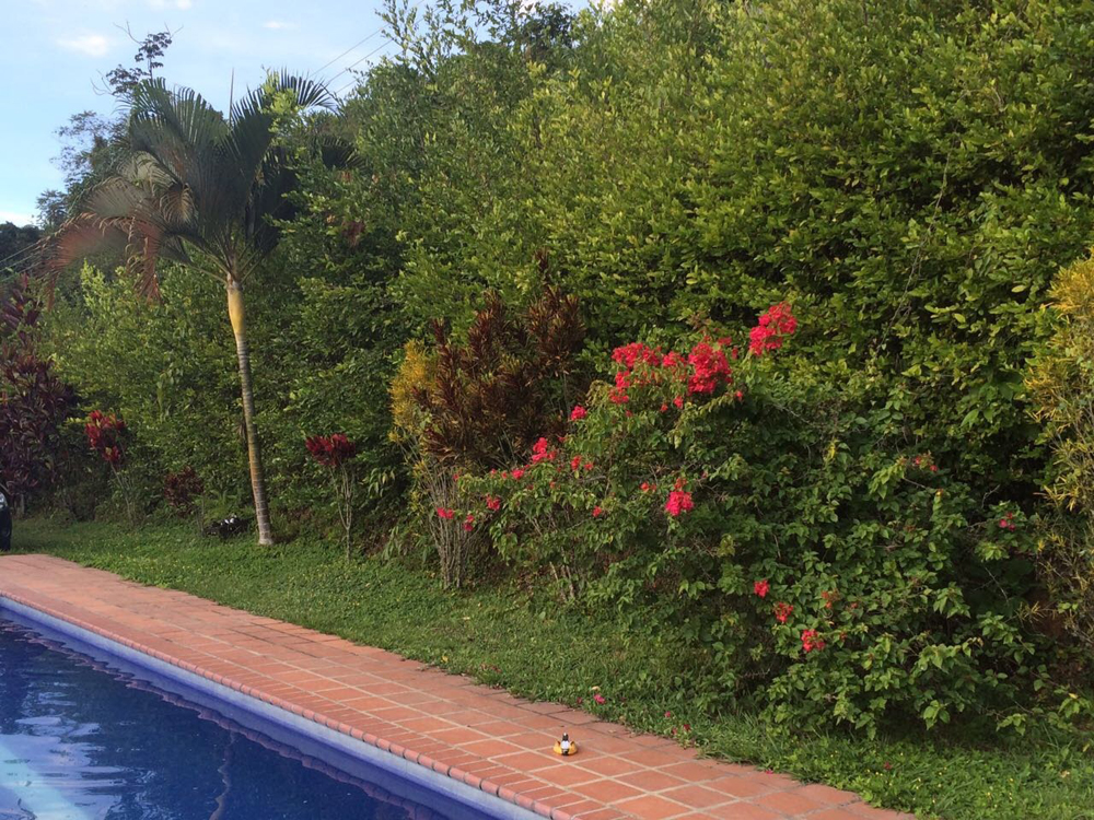 Manizales,Caldas,4 Bedrooms Bedrooms,3 BathroomsBathrooms,Casa Campestre,1004